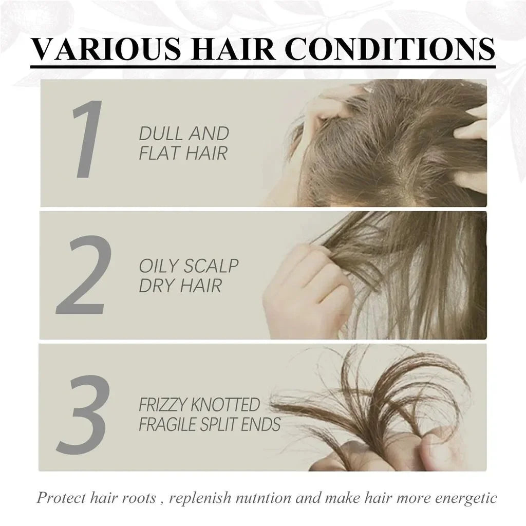 Various hair conditions chart with images showing dull hair, oily scalp, frizzy split ends